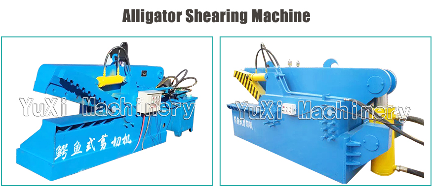Alligator Shearing Machine
